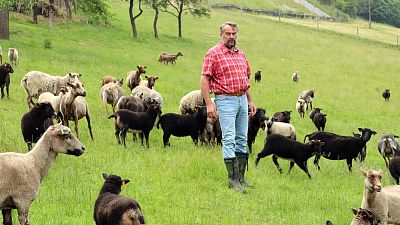 Mr. Cieslar's truly amazing helper - Smart Farm