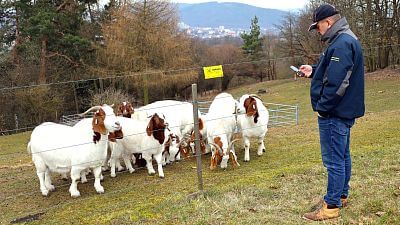 Používanie chytrých elektrických ohradníkov v Združení chovateľov oviec a kôz - Smart Farm