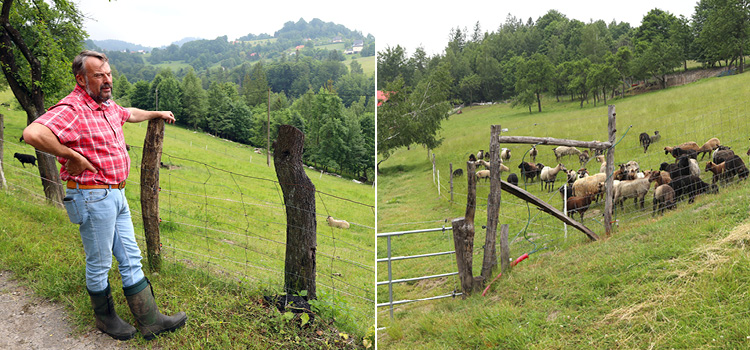 Chytrá Farma fencee u pana Cieslara