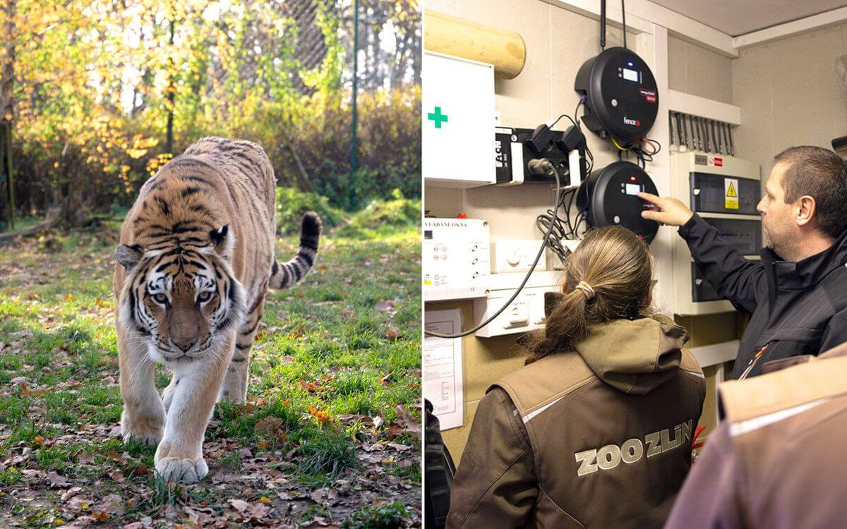 Installation of the Modern Smart Farm System in the Zoo - Zlín