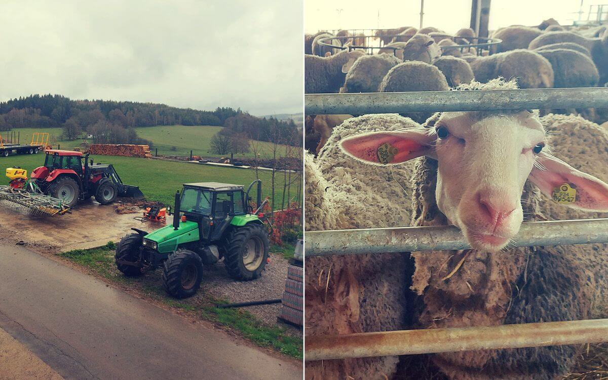 Installation of our unique Smart system for remote control and monitoring of electric fences on the farm in Muckov