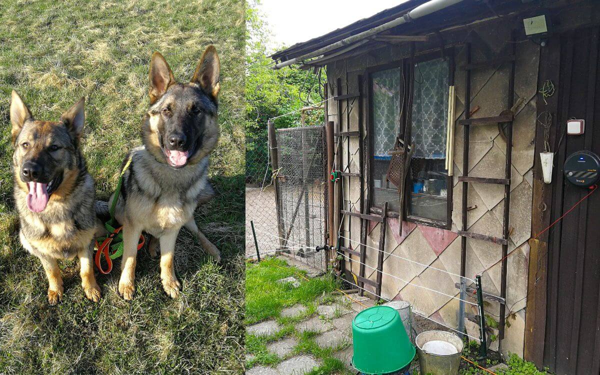 „Elektrický ohradník je skvělý také pro ochranu slepic proti predátorům"

říká Martin Kuchař
