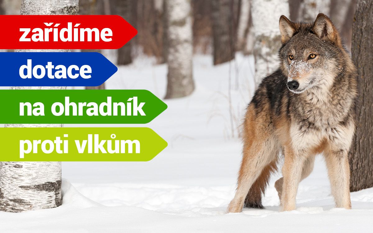 Zařizujeme dotace na elektrické ohradníky proti vlkům