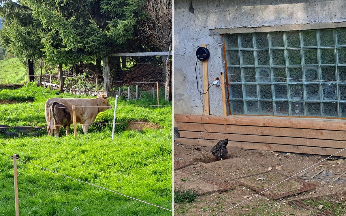 „Potreboval som ochránit pletivo pred skriabanim dobytka"

říká Branislav Škvarka  
