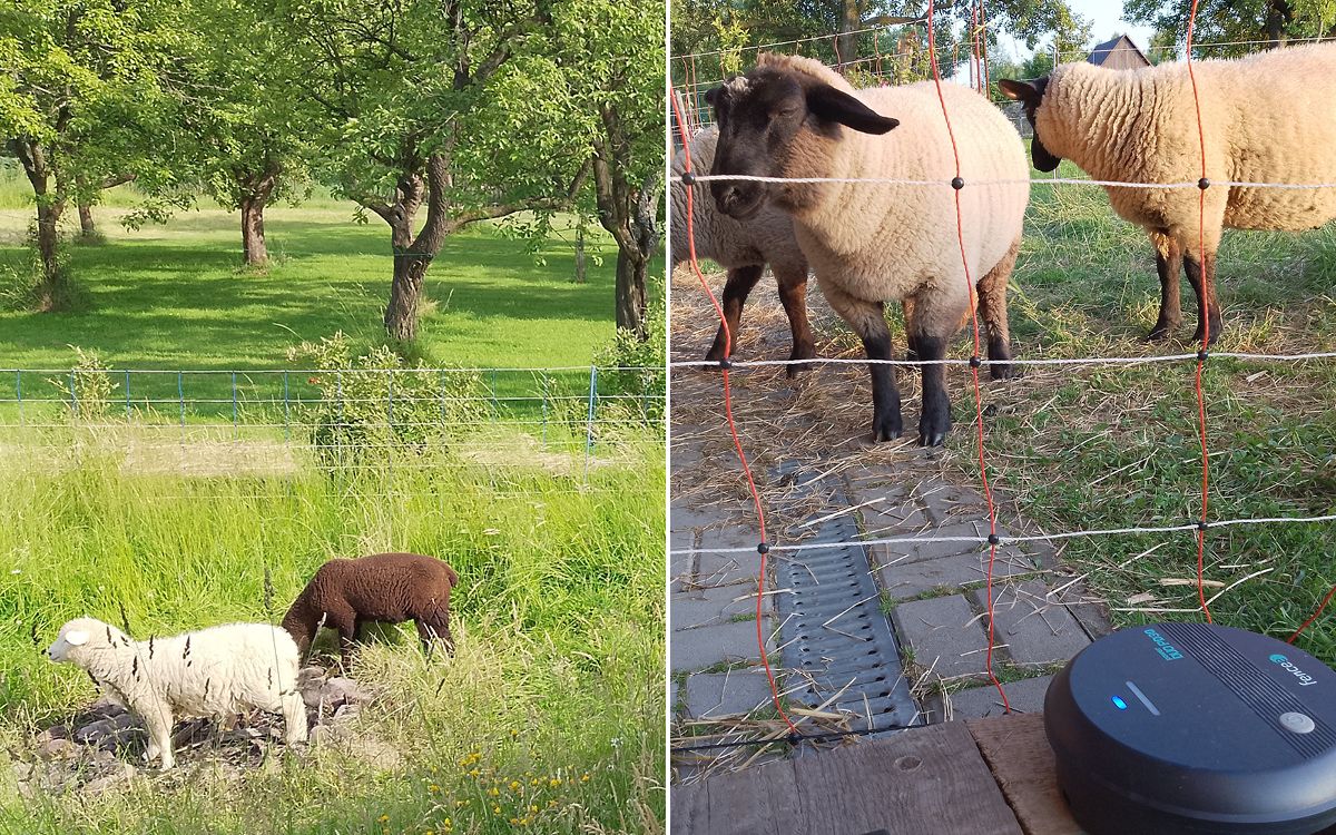 „Sháněl jsem mobilní generátor elektrického ohradníku pro ovce na 6 sítí"
říká pan Nieslanik 