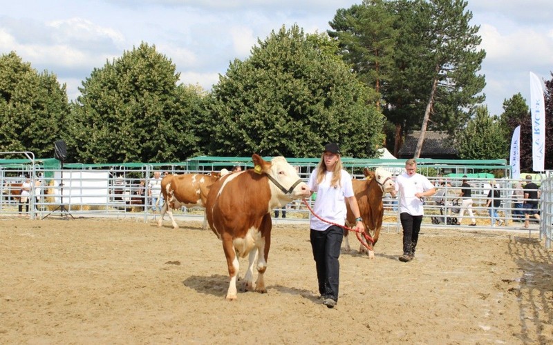 Jak bylo na Živitelce? A co všechno přinesl největší Mezinárodní agrosalon?
