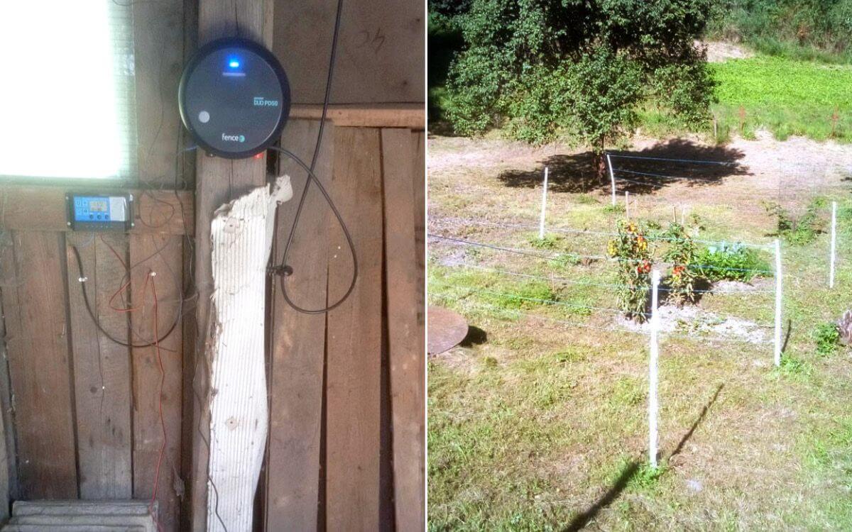 „Elektrický ohradník používáme pro ochranu úrody před srnami"

říká Mirek Dokoupil