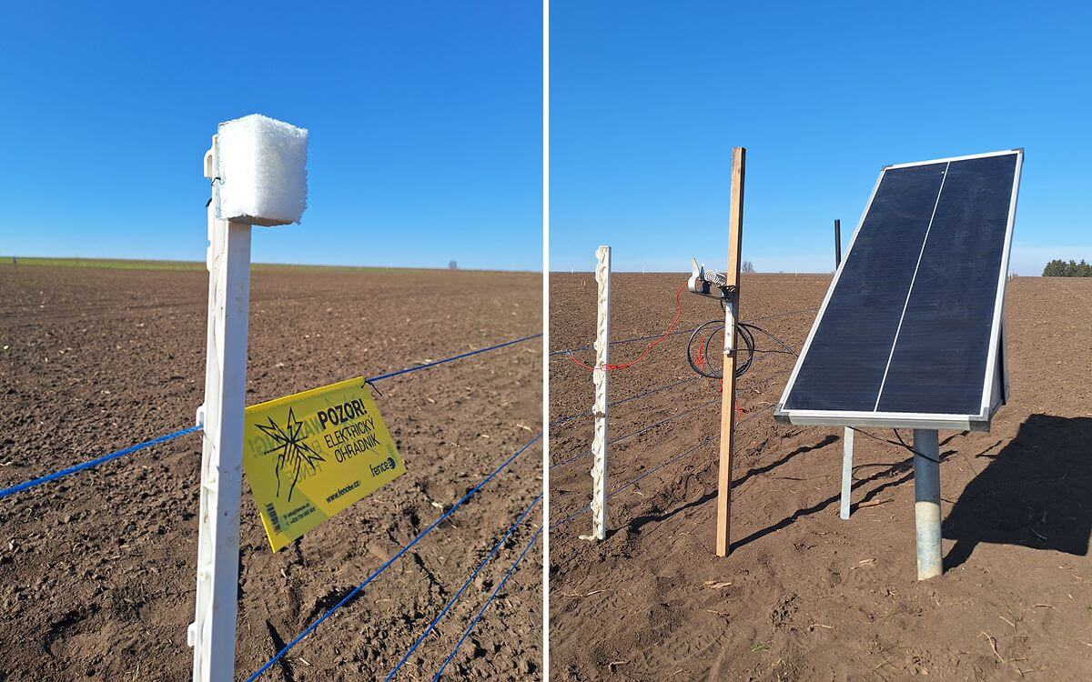 Elektrické a pachové ohradníky v akci: Ochrana plodin na výstavě Naše pole