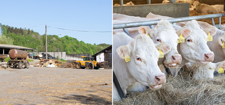 Moderní Chytrá Farma ZD Vlkov