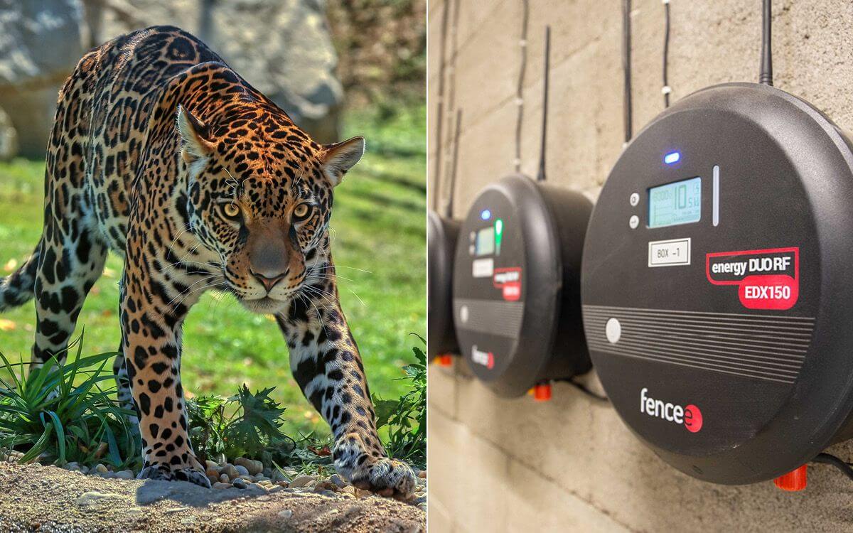 Chytrá Farma v Zoo Zlín III.: Pokračování úspěšné spolupráce - Jaguar Trek