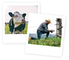 Máte náš generátor fencee? Získejte dárek zdarma.}