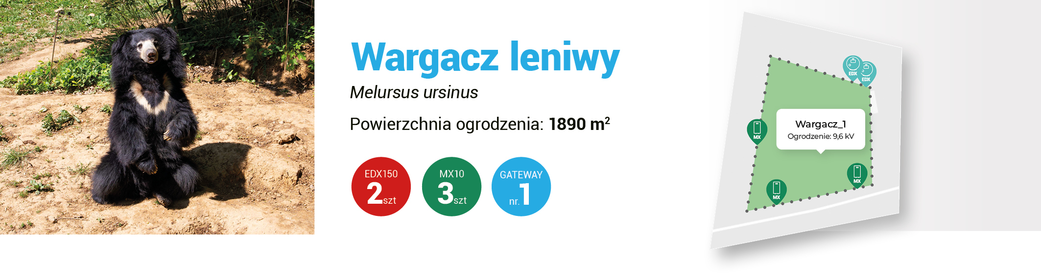 Moderní chytrá farma fencee pro vzdálené monitorování a ovládání elektrických ohradníků s medvědy v zoo Zlín