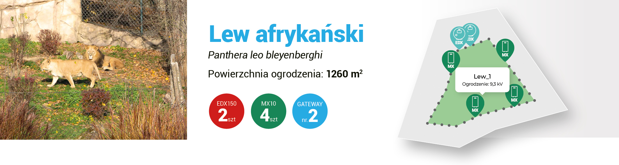 Zabezpečení výběhu se lvy ve Zlínské zoo pomocí chytrých ohradníků fencee - Moderní chytrá farma