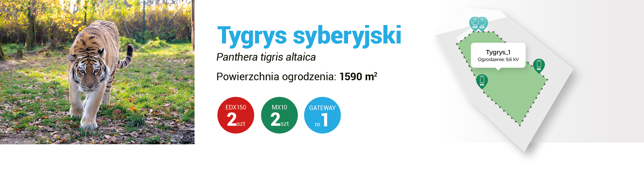 Zabezpečení výběhu se lvy ve Zlínské zoo pomocí chytrých ohradníků fencee - Moderní chytrá farma