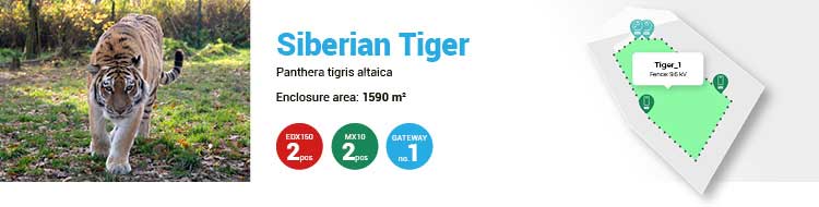 Siberian tiger enclosure Zoo Zlín secured by Smart Farm fencee Cloud system