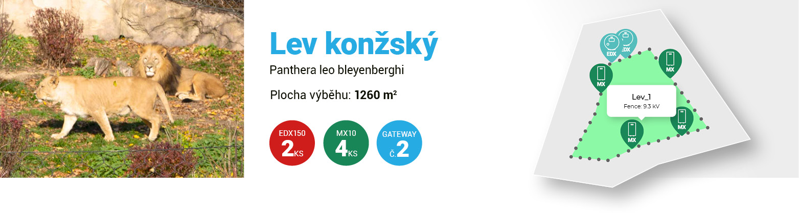 Zabezpečení výběhu se lvy ve Zlínské zoo pomocí chytrých ohradníků fencee - Moderní chytrá farma