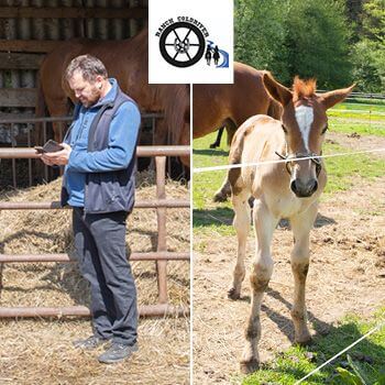 Chytrá Farma zpříjemňuje každodenní život na ranči Coldriver