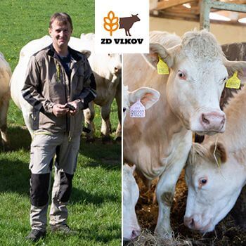 Statek Vlkov pod dohledem Chytré Farmy