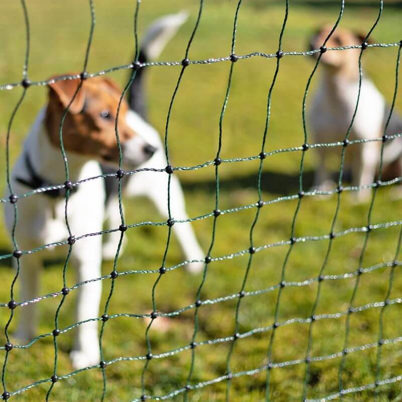 Elektrická ohradníková síť pro psy, králíky a kočky, výška 65 cm, délka 50 m, 1 hrot