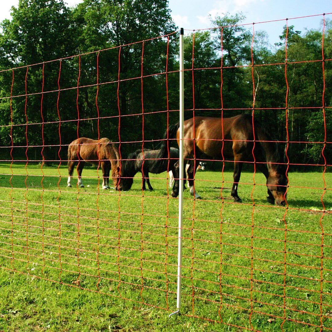 Ohradníková elektrická síť pro koně a poníky, výška 145 cm, délka 50 m, dvojitý hrot