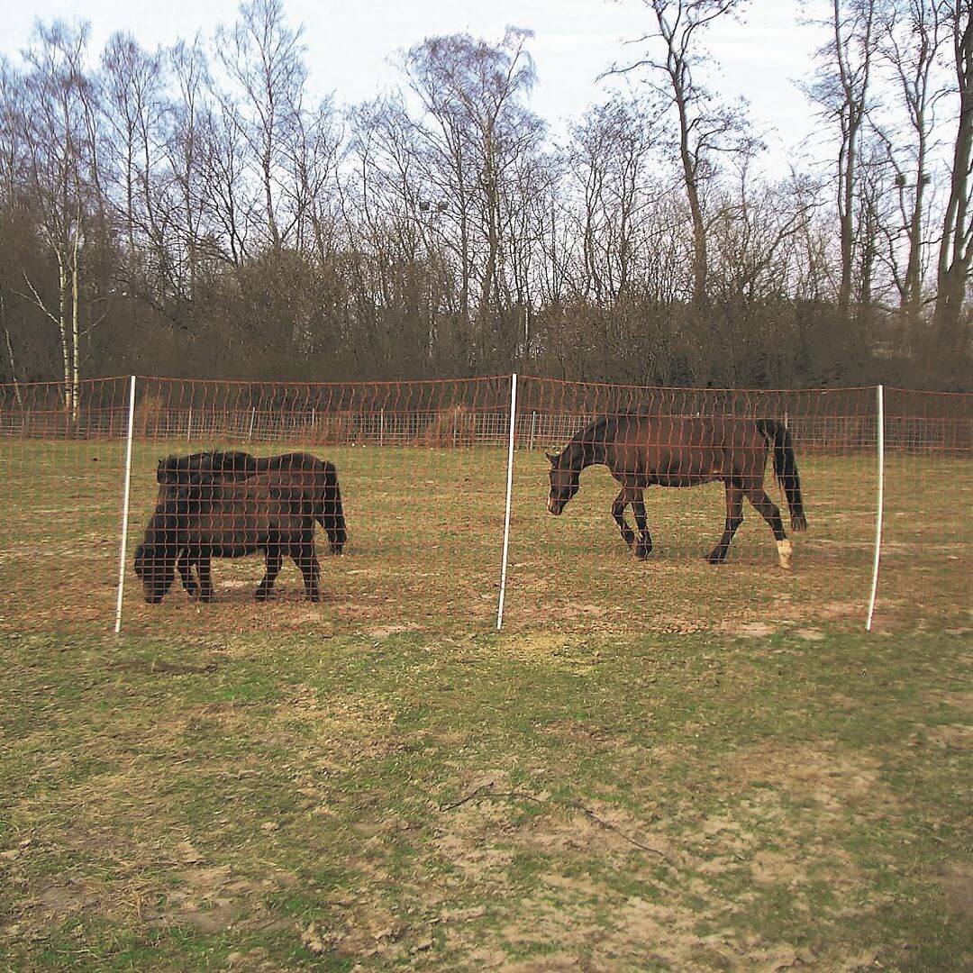 Ohradníková elektrická síť pro koně a poníky, výška 145 cm, délka 50 m, dvojitý hrot