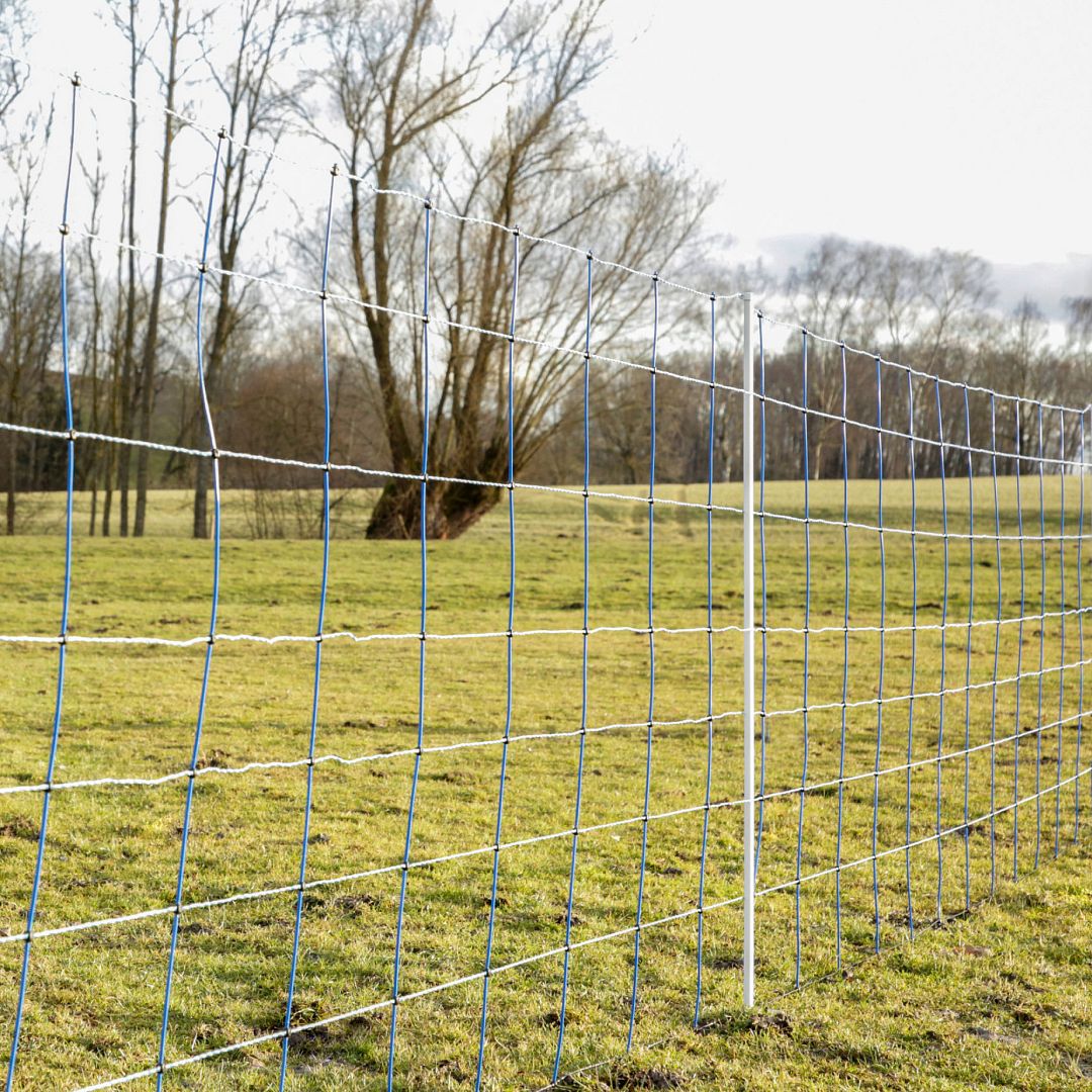 Modrá síť pro elektrický ohradník proti vlkům, výška 145 cm, délka 50 m, dvojitý hrot