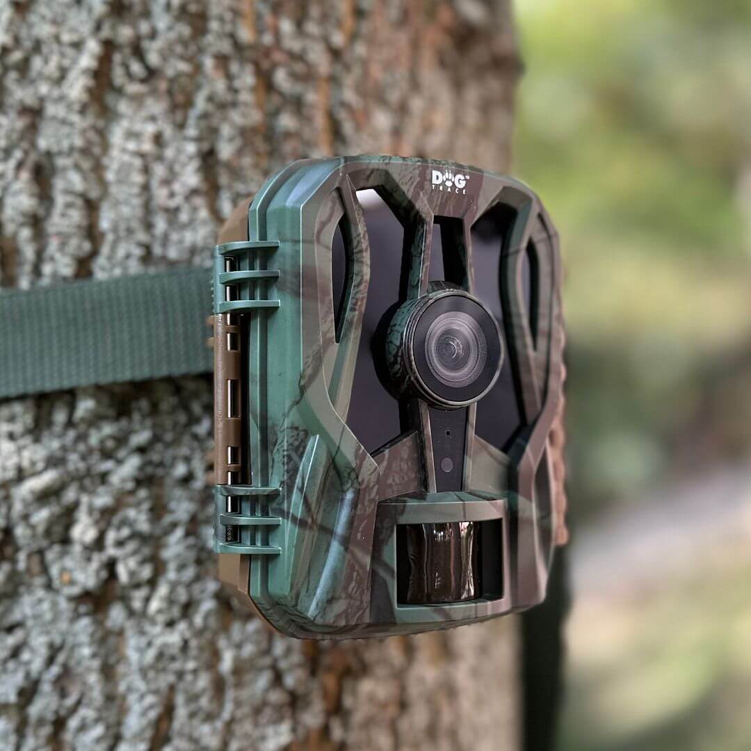 Fotopast Dogtrace d-guard mini