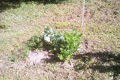 A takto vypadá dnes