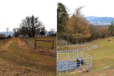 Areál Zlobice je tvořen třemi kopci, které se výrazně zvedají nad okolní krajinu