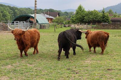 Chytrá Farma v podhůří Beskyd na Statku u Velšů