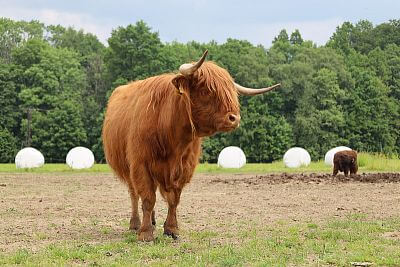 Chytrá Farma v podhůří Beskyd na Statku u Velšů
