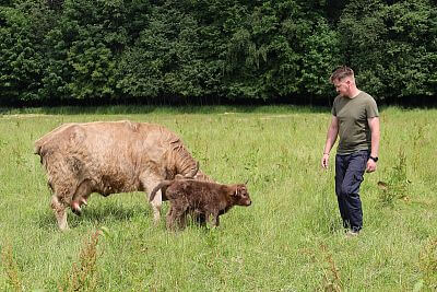 Chytrá Farma v podhůří Beskyd na Statku u Velšů