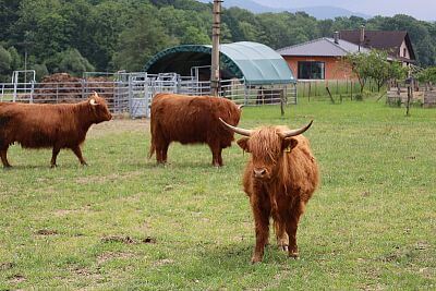 Chytrá Farma v podhůří Beskyd na Statku u Velšů
