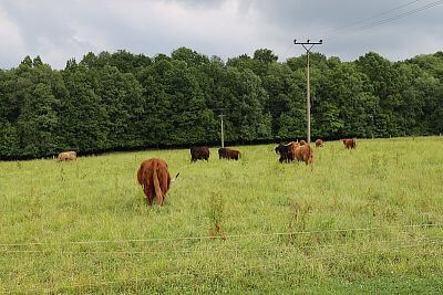 Chytrá Farma v podhůří Beskyd na Statku u Velšů