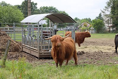 Chytrá Farma v podhůří Beskyd na Statku u Velšů