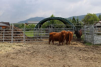 Chytrá Farma v podhůří Beskyd na Statku u Velšů