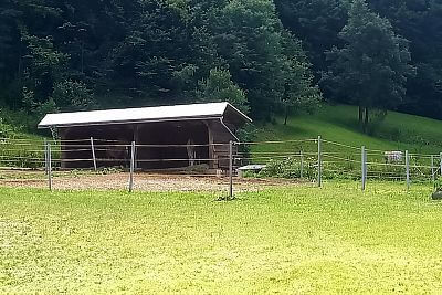 Chytrý RF generátor fencee power DUO RF PDX70 s dálkovým ovladačem  zkušenosti