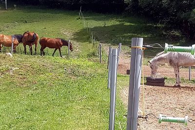 Chytrý RF zdroj pro elektrický ohradník fencee power DUO RF PDX70 s dálkovým ovladačem  recenze