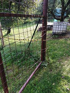 Díra, kterou daněk utekl před instalací ohradníku