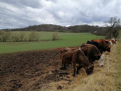 Elektrický ohradník s dálkovým ovládáním fencee