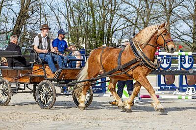 Značka fencee je zlatým partnerem Českého skokového poháru 2025