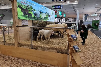 Foto z veletrhu EuroTier