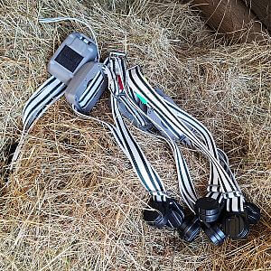 Virtuální ohradník s obojkem fencee GPS FX10