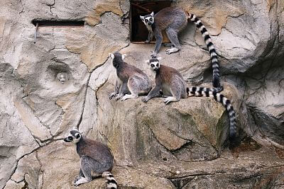 Instalace Chytré Farmy fencee Cloud do Zoo Olomouc
