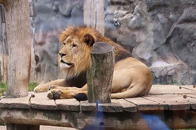 Instalace Chytré Farmy fencee Cloud do Zoo Olomouc