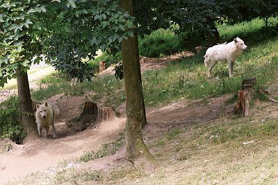 Instalace Chytré Farmy fencee Cloud do Zoo Olomouc