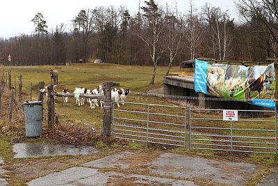 Kovová brána pro vchod do elektrické ohrady