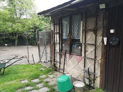 Levný síťový ohradník pro ochranu drůbežího výběhu