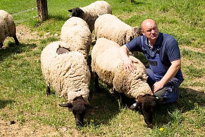 Majitel farmy pan Vlastimil Petrlák