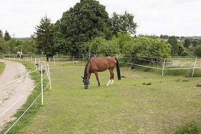 Náš ranč v Líšnici pod Prahou